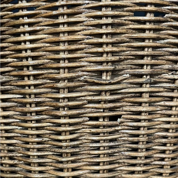 Wired Wicker Basket - Picture 9 of 10